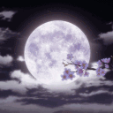 ⋆˚࿔ KOKORO 𝜗𝜚˚⋆