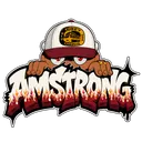 AMSTRONG ACADEMY