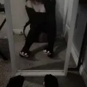 𝟽 rᥱᥣms