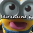 Traffictwt Study Area