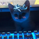 SUPERNOVA    🫐 Discord server icon