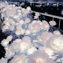 Trinitys Hangout Discord server icon