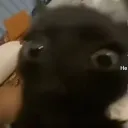 Бригада Флэймса