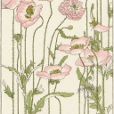 cool dawgs Discord server icon