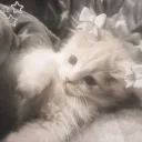 Lili's MM