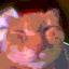 ☁ ⋆˚࿔ AWOO TAG 𝜗𝜚˚⋆