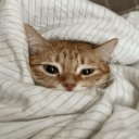 𓈒    　⁺　˳  ✿ Discord server icon