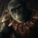 The Kingdom of the Planet of the Apes Roleplay Server