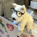 Sapphic Study ‧₊˚❀༉‧₊˚. Discord server icon