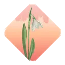 Perce-la-Neige ❀