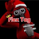 Flex Tag