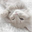 🎶🎧RELAXATION NATION🎧🎶 Discord server icon