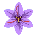 Saffron