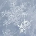  Arctic spot || Emojis • LGBTQ... Discord Server Icon