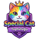 Discovery icon for 𓆩✧𓆪    Special Cat Discord server