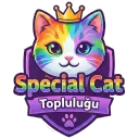 𓆩✧𓆪    Special Cat discord icon