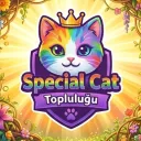 𓆩✧𓆪    Special Cat discord icon
