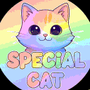 Special Cat 🐈