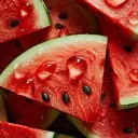 The Watermelon Community
