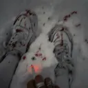 ★🌹Bloody stars🌹★