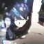 Divine Lair ⟢ AOT:R・Hangout・Active・Anime・SFW・VC
