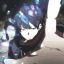 Divine Lair ⟢ AOT:R・Hangout・Active・Anime・SFW・VC