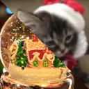 /𝘌𝘯𝘧𝘳𝘪𝘢𝘳