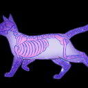 (っ◔◡◔)っ 🌙 𝙿𝚞𝚛𝚐𝚊𝚝𝚘𝚛𝚢 𝚙𝚊𝚛𝚝𝚢 18+