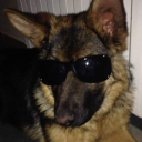 yumeship ⌖ hell Discord server icon