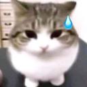Server Icon