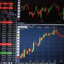 finance students hub