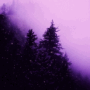 COD Builds Collection