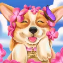 🌸Kirahasu🌸
