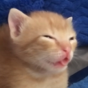 Goobers Discord server icon