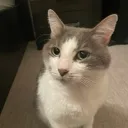 @jck$$$'s server Discord server icon