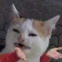 Close Discord server icon