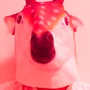 やまかわてるき鯖