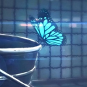 🌀 Life is Strange: Convergence [RP] Discord server icon