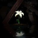 Sabr صَبْرٌ Discord server icon