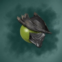 LimeBorne Discord server icon
