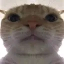 Rosx's server