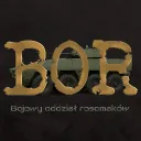 BOR - Bojowy Oddział Rosomaków