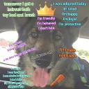 XProtoPuppy