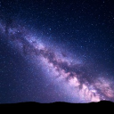 💫the field of dreams💫 Discord server icon