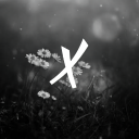 Xtra Development™ icon