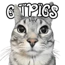 CATPICS.LOL