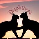 Diaphthora Discord Server Icon