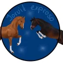 ♘𝘑𝘰𝘳𝘷𝘪𝘬 𝘌𝘹𝘱𝘳𝘰𝘴𝘰♘