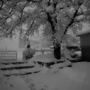 snö