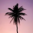 Hadrillions's Portfolio
